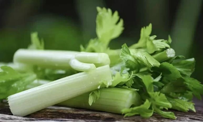 عرق کرفس خانگی؛ طرز تهیه آسان و سریع