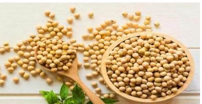 سویا سبز: گنجینه‌ای از پروتئین و سلامتی