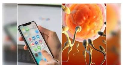 تهدید بزرگ موبایل برای باروری؛ آیا می‌دانید چرا؟