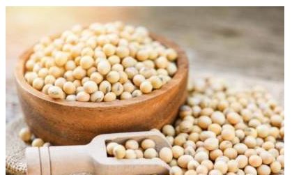 سویا سبز: گنجینه‌ای از پروتئین و سلامتی