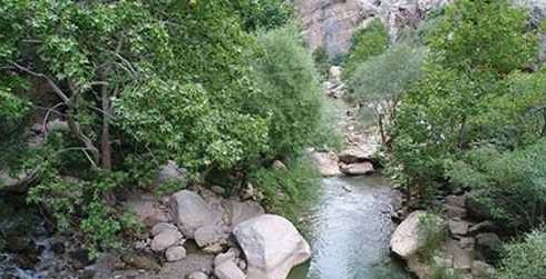 پناهگاهی بهشتی در دل کوهستان: سفر به چشمه ناز اصفهان