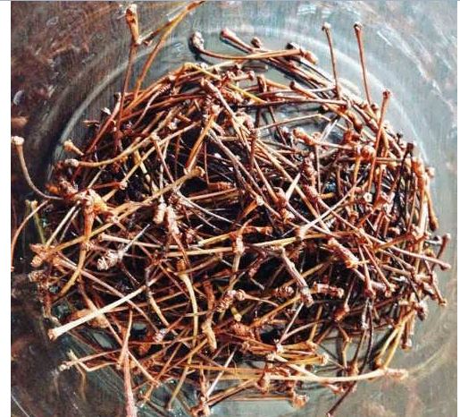 دم گیلاس؛ نوشیدنی شفابخش برای سلامتی