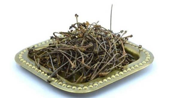 دم گیلاس؛ نوشیدنی شفابخش برای سلامتی