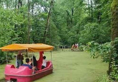 دیدنیهای نزدیک رشت؛ مکانهایی که نباید از دست داد