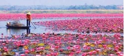 دیدنیهای نزدیک رشت؛ مکانهایی که نباید از دست داد