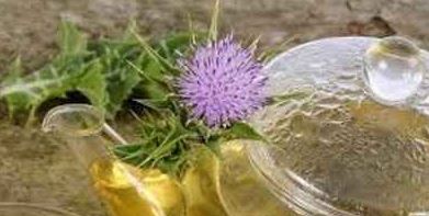 دمنوش خار مریم؛ راهنمای درست کردن نوشیدنی تقویتی و آرامشدهنده
