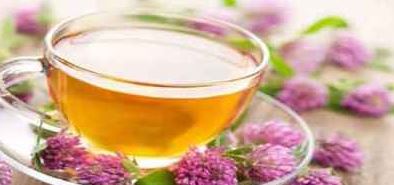 دمنوش خار مریم؛ راهنمای درست کردن نوشیدنی تقویتی و آرامشدهنده