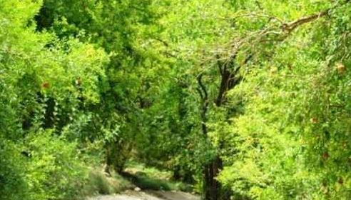 نورآباد ممسنی؛ سفر به دل طبیعت بکر و میراث باستانی