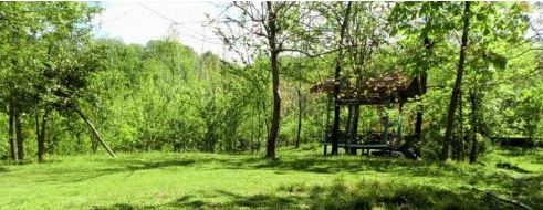 سفر به آستانه اشرفیه؛ شهر سبز و آرام گیلان با جاذبه‌های بکر و دیدنی