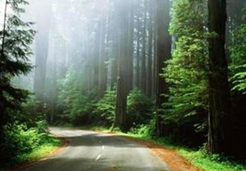 سفر به آستانه اشرفیه؛ شهر سبز و آرام گیلان با جاذبه‌های بکر و دیدنی