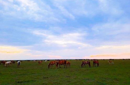 سفر به آستانه اشرفیه؛ شهر سبز و آرام گیلان با جاذبه‌های بکر و دیدنی