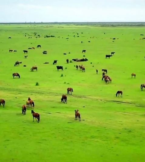 سفر به آستانه اشرفیه؛ شهر سبز و آرام گیلان با جاذبه‌های بکر و دیدنی